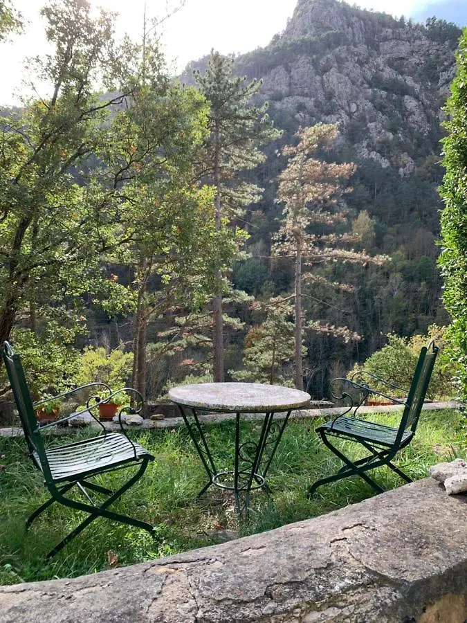 Petit Estudi Apartment Ribes De Freser